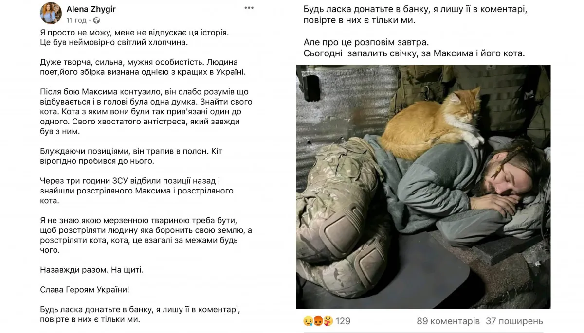 Сообщение Алены