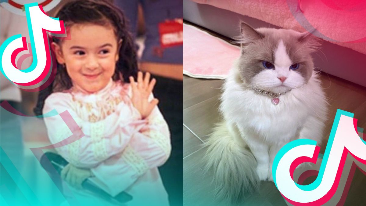 Тренд тиктока Тренд тиктока