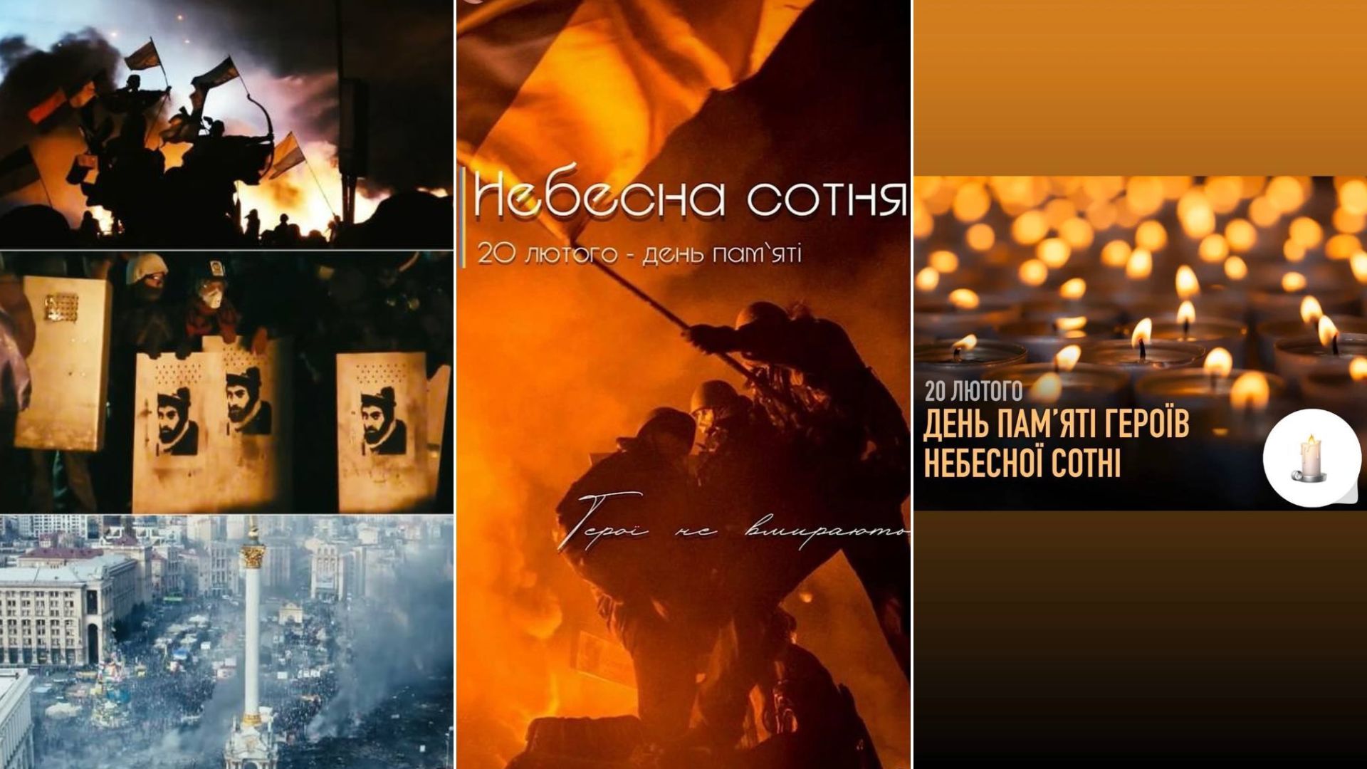 Подборка - Show Подборка - Show