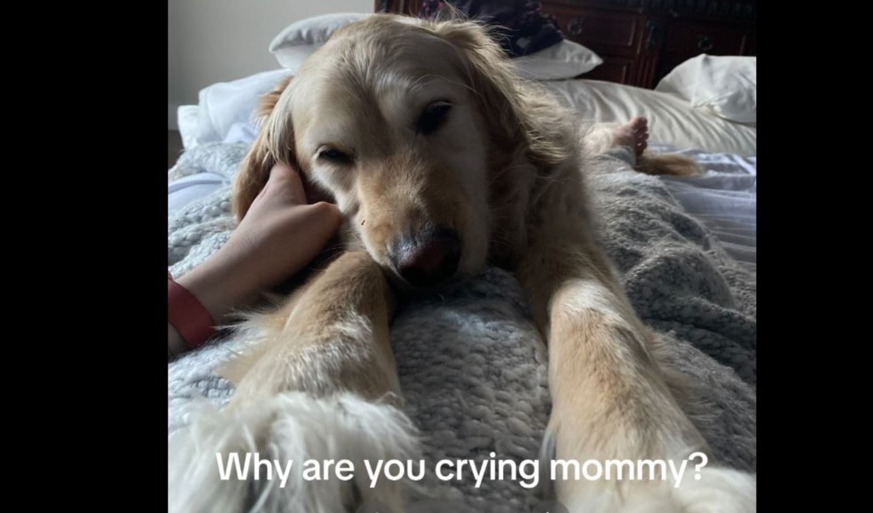 Новий тренд тікток Новий тренд тікток