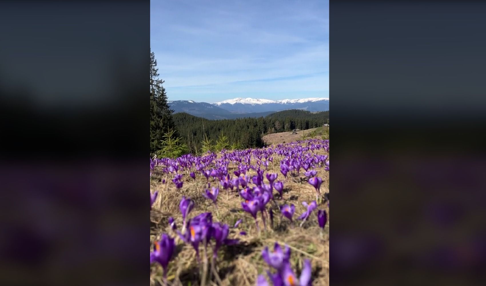 Новый тренд тикток 2024 Новый тренд тикток 2024