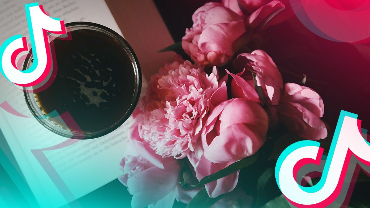 Тикток разрывает тренд о розовых пионах Тикток разрывает тренд о розовых пионах
