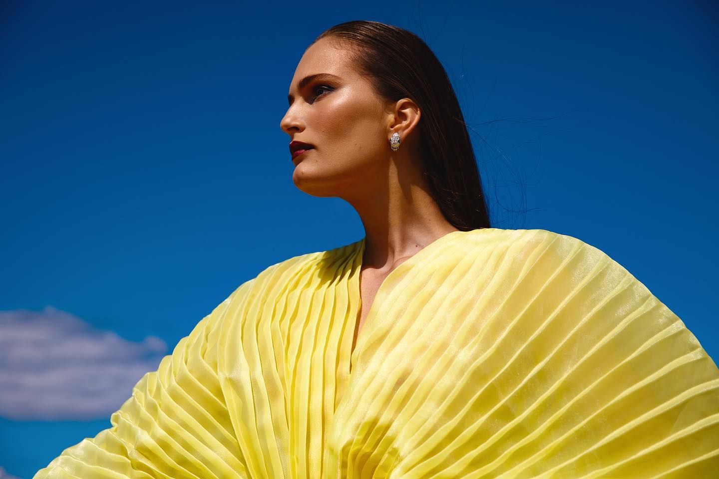 Алла Костромичева - биография Алла Костромичева - биография