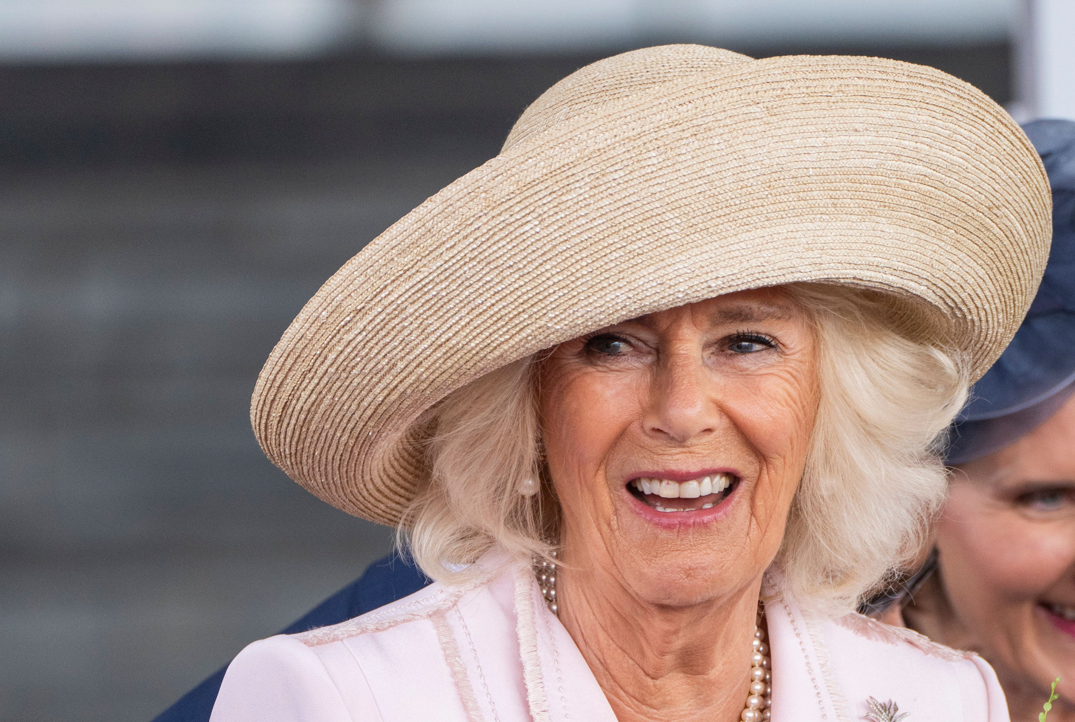 Королева Камілла - усе, що відомо Королева Камілла - усе, що відомо